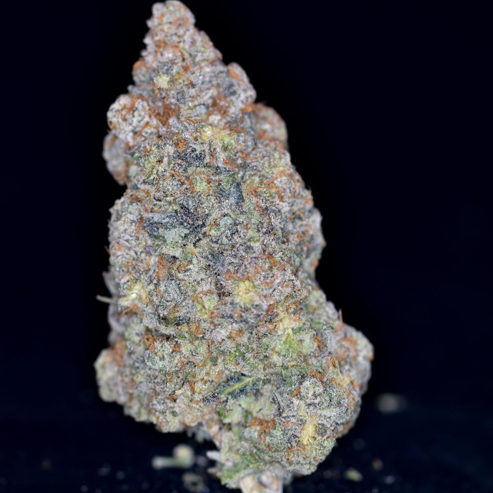 Grape Pie