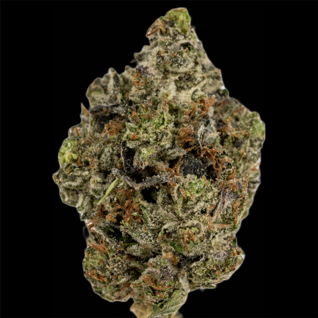 Sensi Star